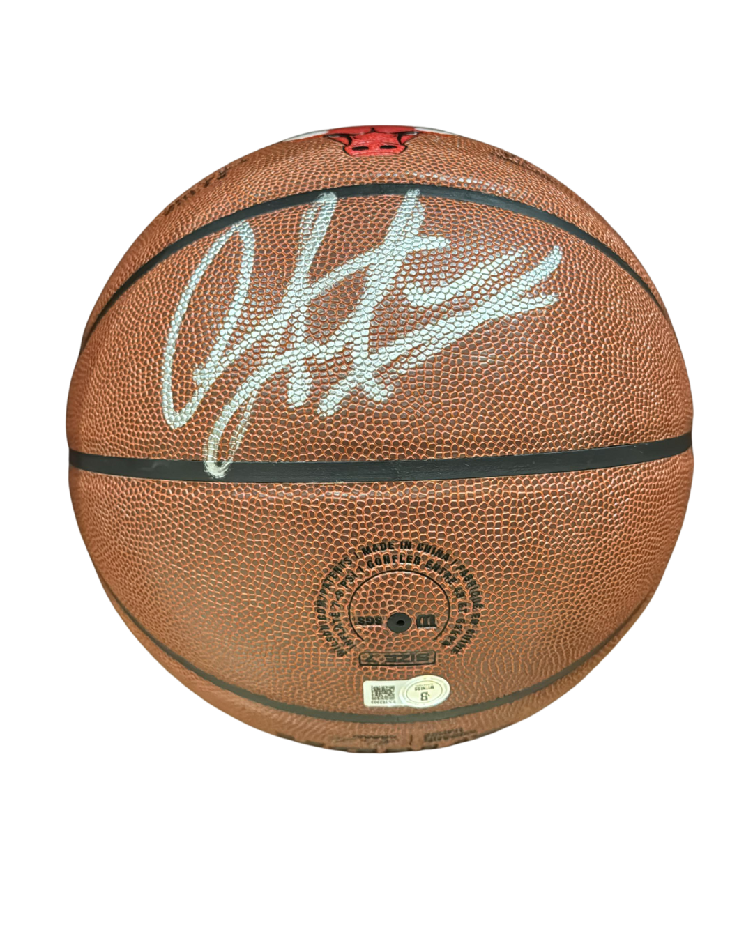 Balón Denis Rodman - Básquetbol